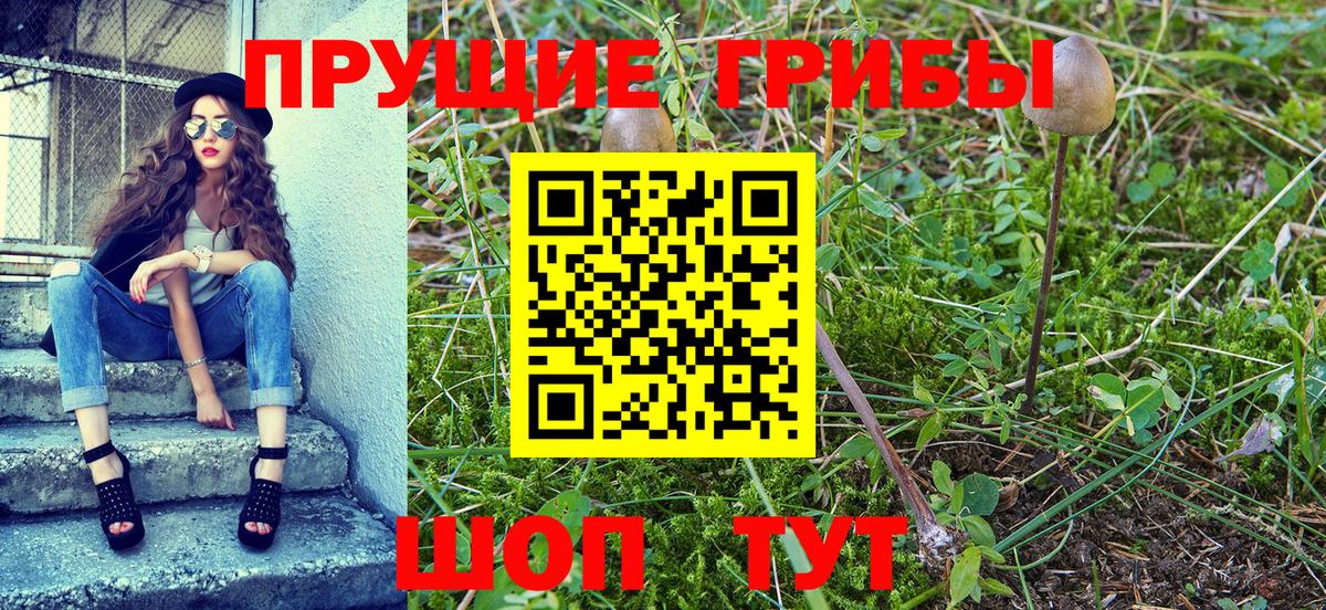 Галлюциногенные грибы Cubensis  Галлюциногенные грибы GOLDEN TEACHER  Вход с VPN  Костомукша 